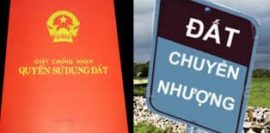 giai-quyet-ho-so-chuyen-nhuong