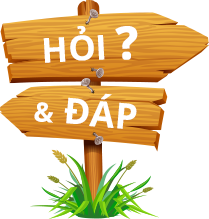 hoi dap phap ly