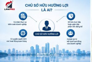 chu so huu huong loi la ai