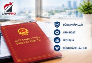 giay chung nhan dang ky dau tu